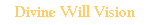 Divine Will Vision